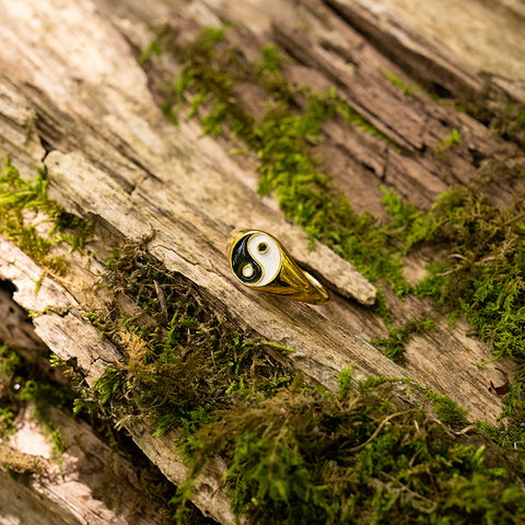 Illuminated Flow - Yin Yang Feng Shui Signet Stainless Steel Ring