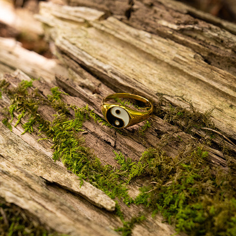 Illuminated Flow - Yin Yang Feng Shui Signet Stainless Steel Ring